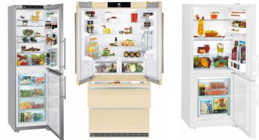 Meer informatie over de moderne mogelijkheden van koelkasten en hun typen