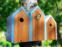 Birdhouse bricolage: comment créer un nichoir fiable et pratique (61 photos)